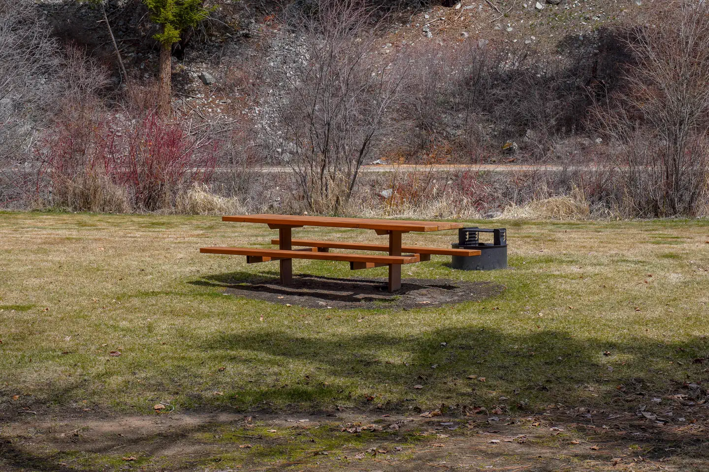 Spring Gulch