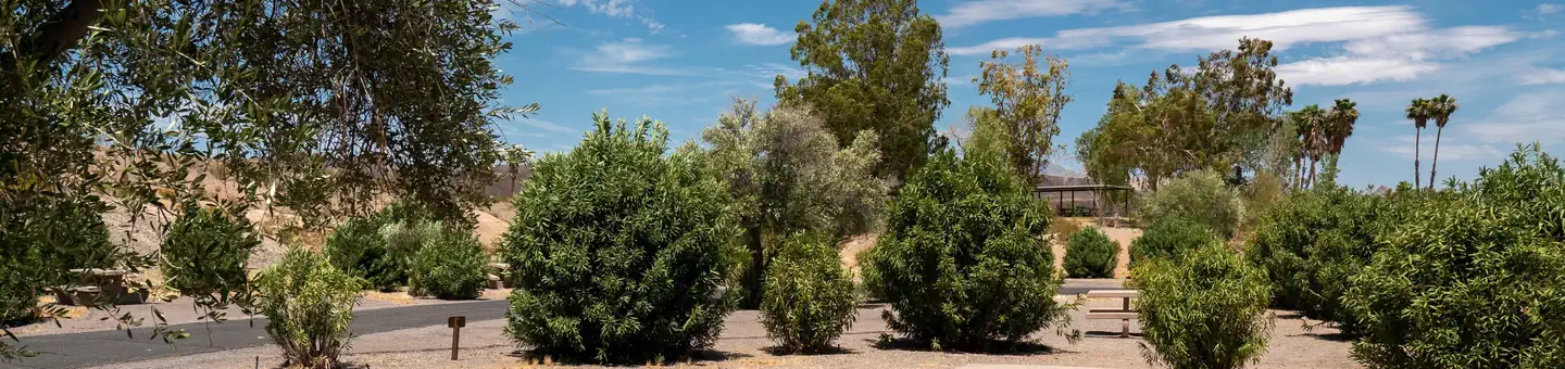 Callville Bay Campground