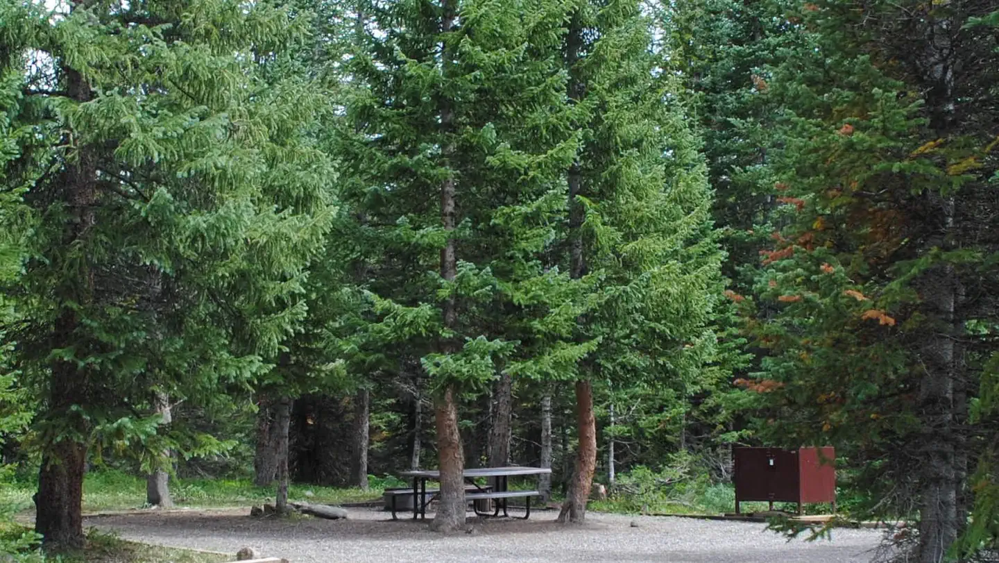 Shepherds Rim Campground