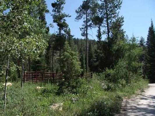 GS1, Loop: NORTH FORK CAMPGROUND - St. CHARLES CANYON