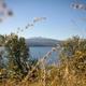SUNSET COVE CAMPGROUND