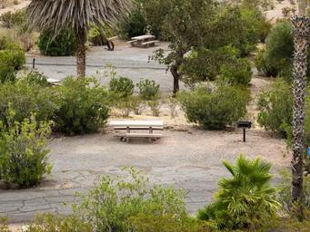 Echo Bay Campground