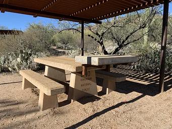 Sabino Canyon Recreation Area Cactus Ramada 1
