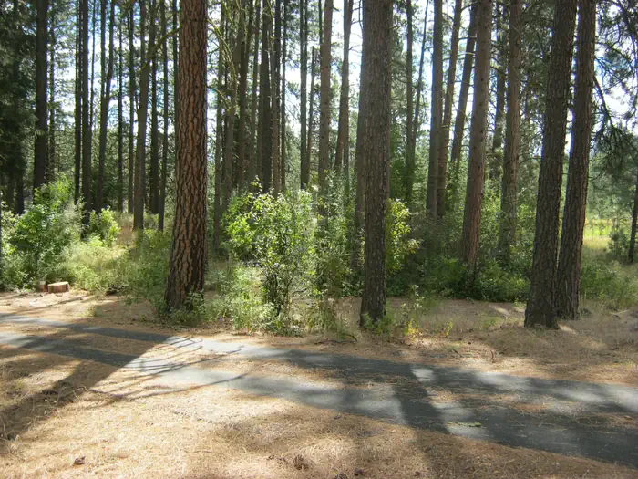 Kettle River Campground