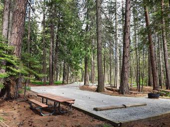 Campsite