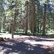 Hyatt Campground Campsite