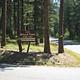 Pattee Picnic Entrance