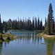 Potters    Pond 