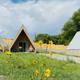 Three A-frame cabins with wood siding and metal roofs on a grassy hillside, yellow wildflowers in the foreground.
