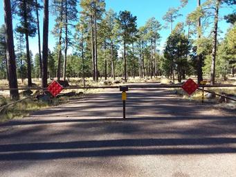 Rim Campground