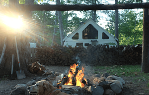 2015 Aliner Expedition Bee-Marv