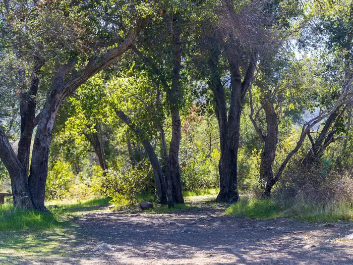 Holiday Group Campground