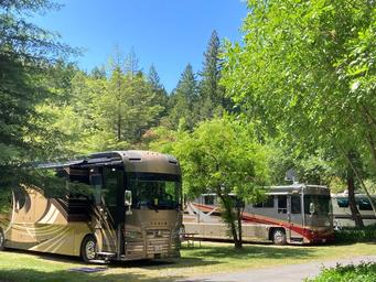 Giant Redwoods RV & Cabin Destination