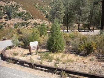 GRAY PINE GROUP CAMPGROUND