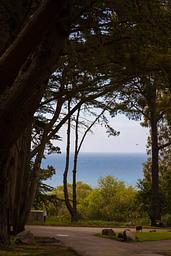 Plaskett Creek Campground
