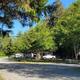Photo of RV spaces and an RV on-site showing hookups, road and tree cover — good representation of RV pitches; from the site types/gallery page.