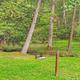 campsites