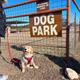 A puppy is sitting in front of a dog park sign.