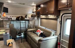 'Olive' 2018 Forest River Sunseeker 3050S ACO2041