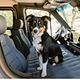 2022  Promaster 3500 ext Off Grid  White Knight