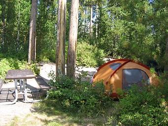 Signal Mountain Campground Tent in the Forest