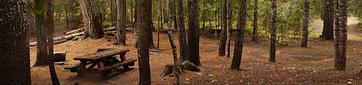 Peterson Prairie Campground