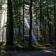 Elkmont Campground