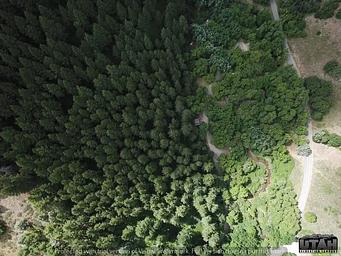 Lodge Campground (UT) aerial 