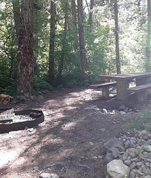 Trout Creek Campground (MT)