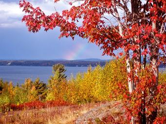 Bar Harbor Campground