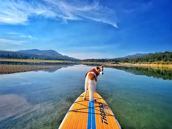 Enjoying the Pend Oreille River at Pioneer Park Campground
