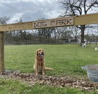 Round Top-Carmine RV Park