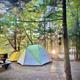 Tent campsite among trees with gear and picnic table — useful to illustrate tent camping sites and wooded campsite ambiance.