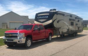The Cougar