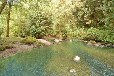 Friday Creek Campground