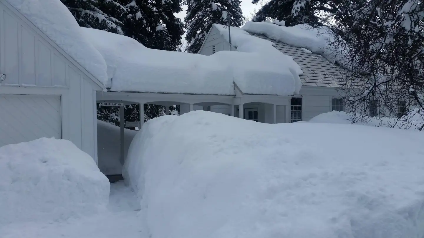 Savenac West Cottage