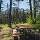 Picnic table in the foreground with grass, bushes, and trees nearby.  A mountain can be seen in the distant background.