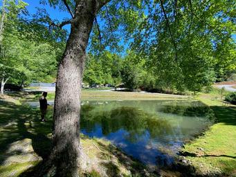 Campground image 3