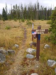 Ryan Park Moose Trail 1