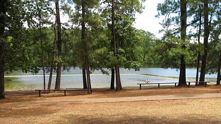 Ratcliff Lake Recreation Area