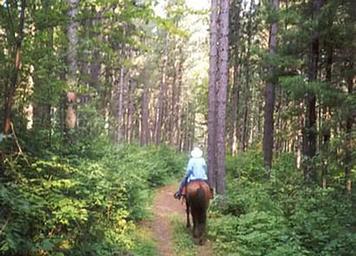 CUT FOOT HORSE CAMPGROUND