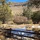 Dog Canyon Group Campsite with two tent pads delineated with landscape timbers and filled with fine crushed gravel. Three picnic tables are located in an open grassy area for groups to gather.