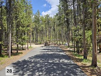 Shoreline Campground/1457