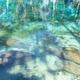 Campspot slideshow image 5