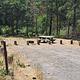 Windy Point Campground Campsite #14