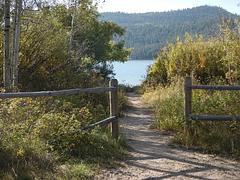 Path