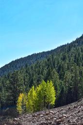 Campspot slideshow image 3