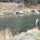 Fishing the Crooked River at  Big Bend Campground