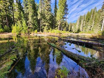 Clearwater River