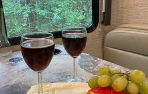 Go Yonder! 2022 Thor Motor Coach Magnitude GA 31